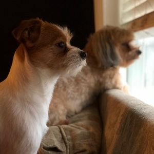 Meet your Posher, Tania